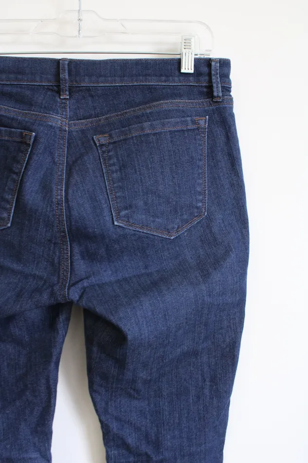 Earrings Ann Taylor LOFT LOFT Modern Skinny Dark Wash Jeans 8