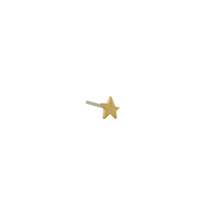 Earrings Pupil Hall Bitty Textured Star