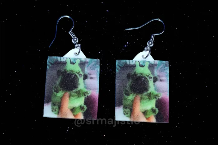 Collection of Alien Creatures Funny Meme Handmade Earrings Sam Makes Things Earrings Collection of Alien Creatures Funny Meme Handmade Earrings Sam Makes Things Earrings