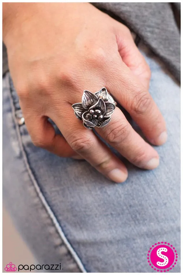 Paparazzi Jewelry Rings Paparazzi Ring Pitch Perfect Silver