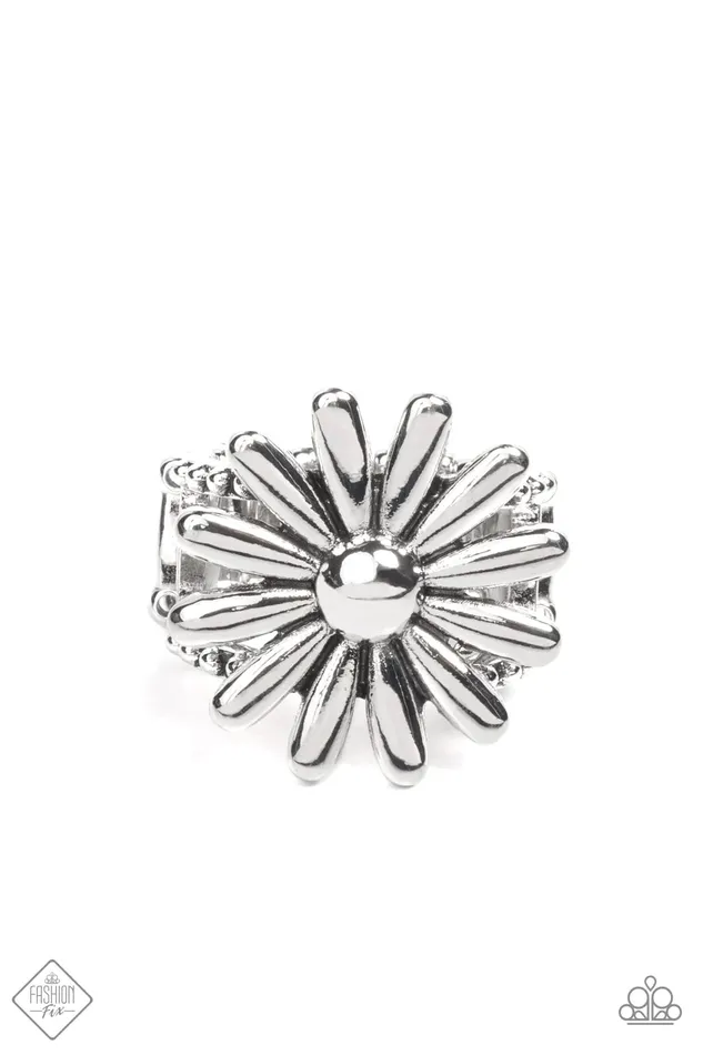 Paparazzi Ring GROWING Steady Silver Paparazzi Jewelry Rings