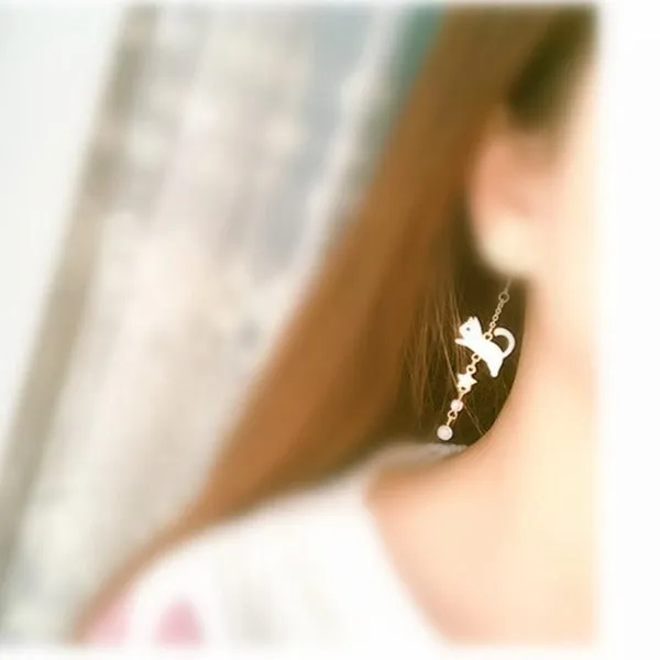 Earrings CatCurio Pet Store Cat Fish Cute Earrings