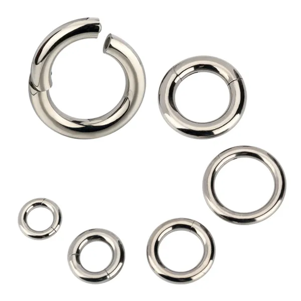Rings 4g Titanium Hinged Segment Ring Tulsa Body Jewelry Rings 4g Titanium Hinged Segment Ring Tulsa Body Jewelry