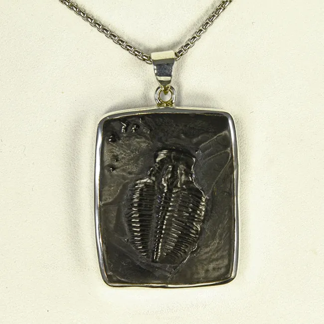Sterling Silver Trilobite Pendant Moriartys Gem Art Necklaces